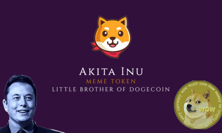 akita network