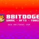 8bitdoge